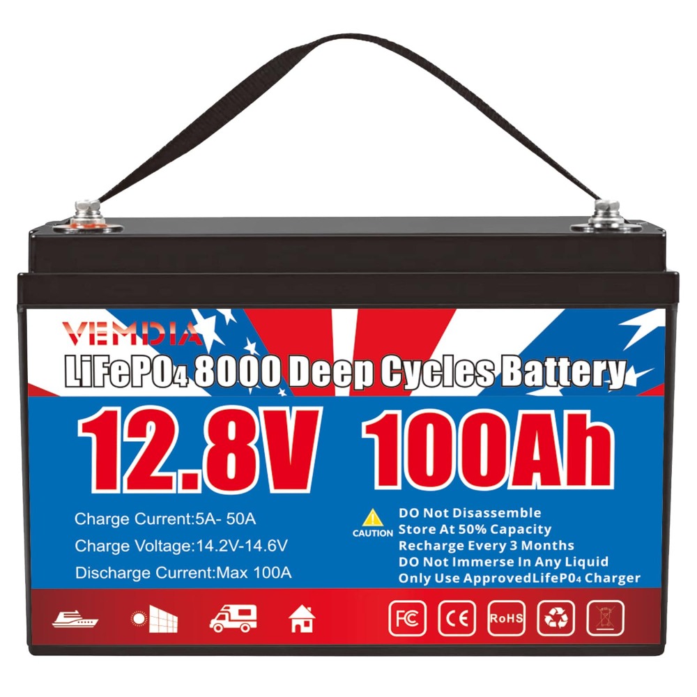 12.8V 100Ah LiFePO4 Battery Bu - Outdoor Camping Essential Gear recensione e prezzo