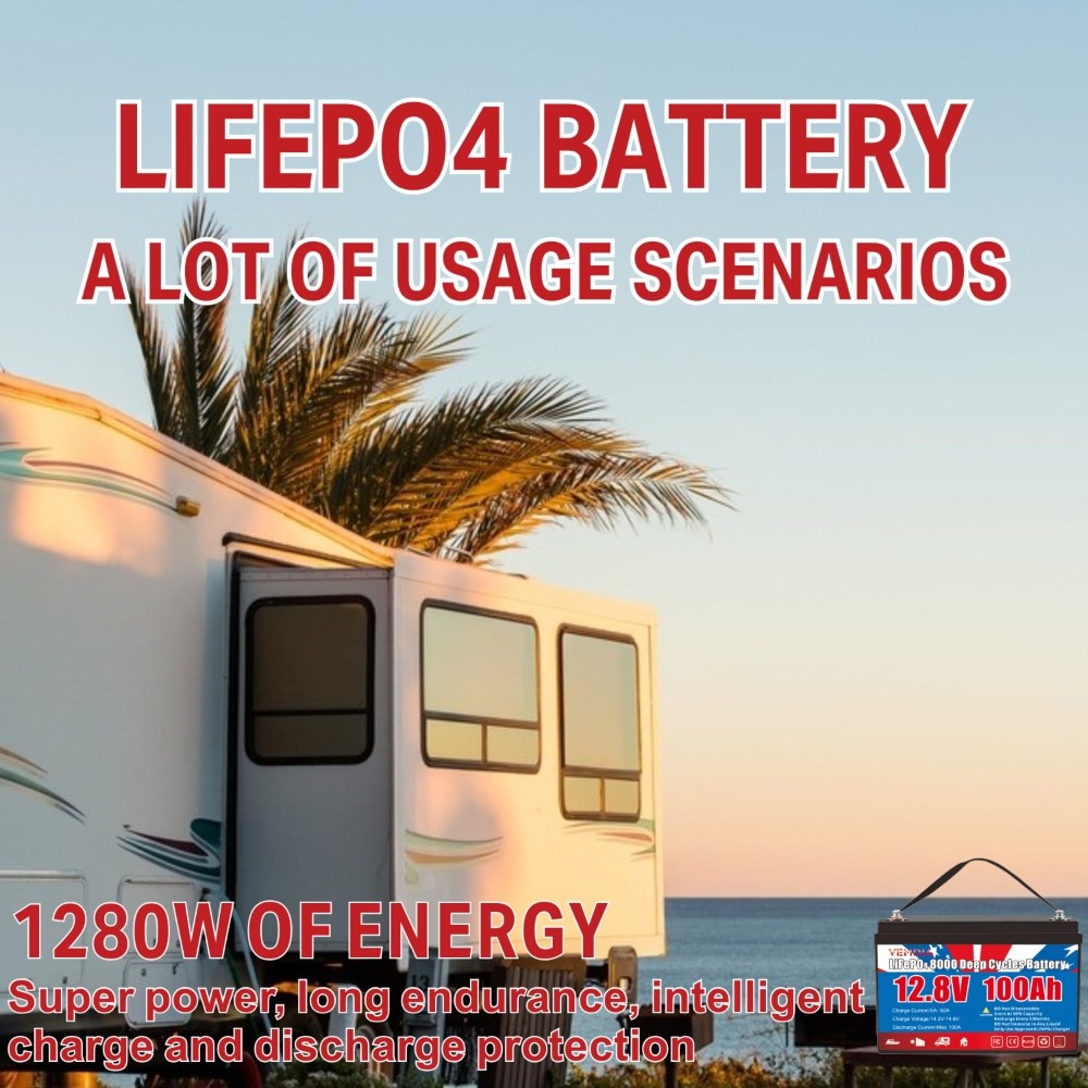 12.8V 100Ah LiFePO4 Battery Bu - Outdoor Camping Essential Gear recensione e prezzo